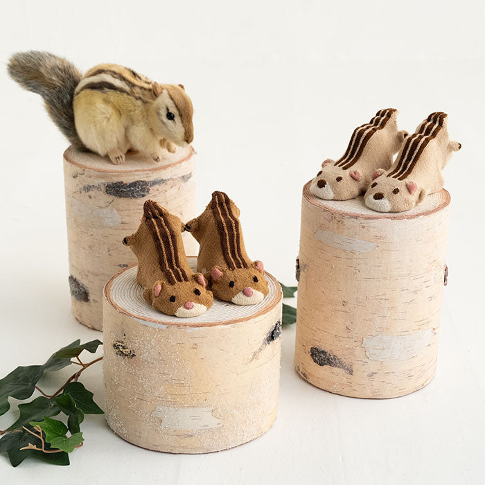 Pop Up Socks - Dark Squirrel